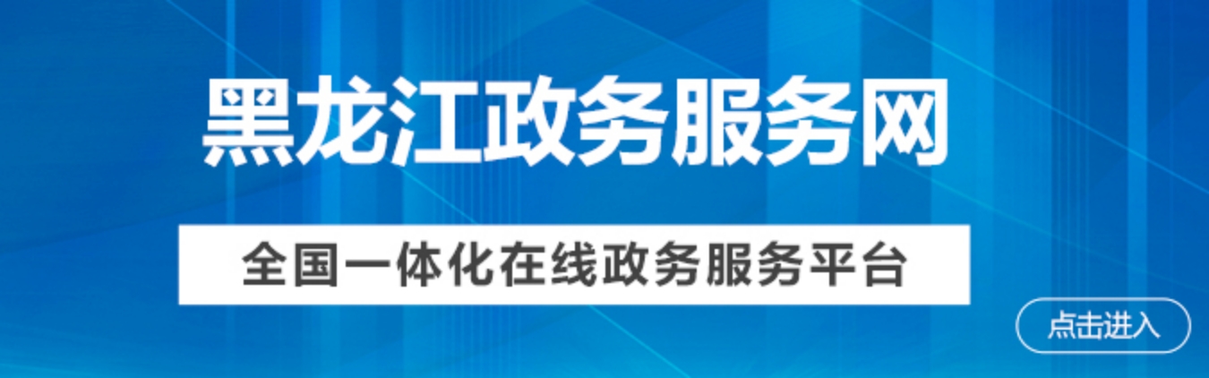 黑龙江政务服务网